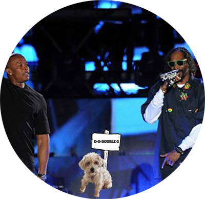 Roscoe at Snoop Dogg's Concert